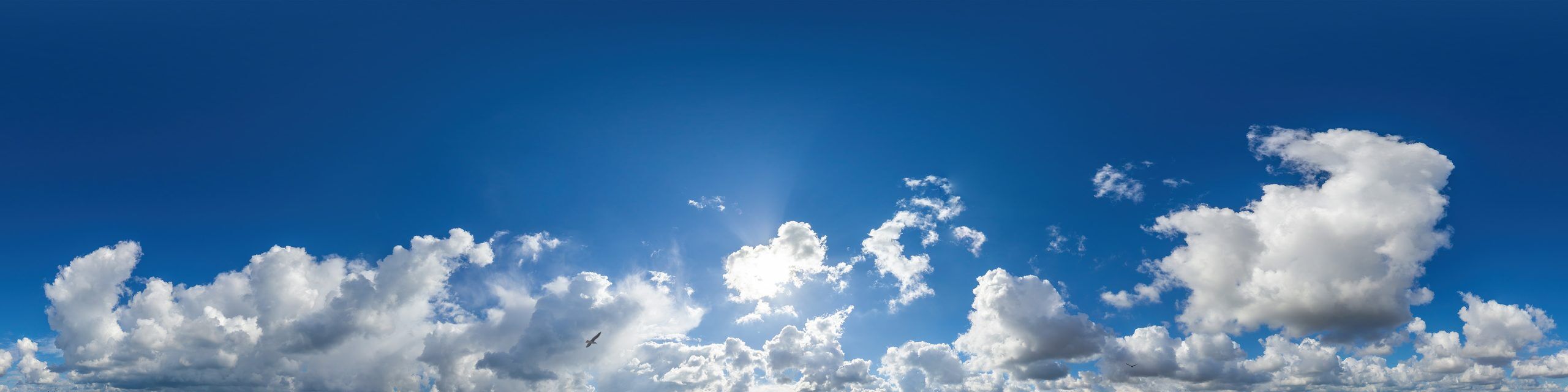 Enterprise Website Solutions Hero Banner Image