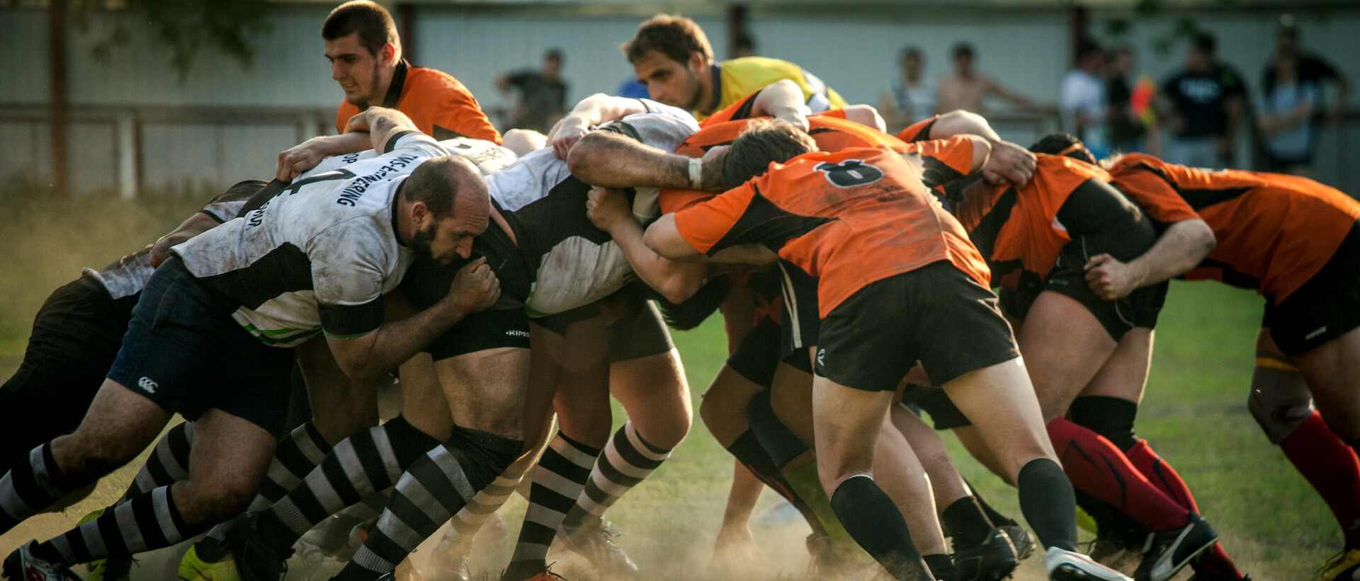 Website Integrations and App Development